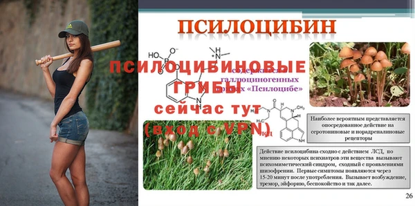 mix Абаза